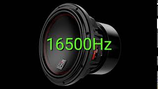 Tone frequency 16500Hz Test your hearing speakersheadphonessubwoofer [upl. by Ahsoyem677]