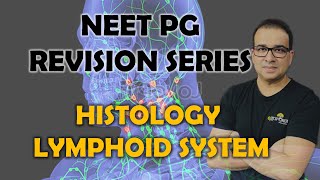 NEET PG HISTOLOGY OF LYMPHOID SYSTEM [upl. by Gnuh]