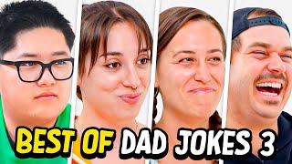 Dad Jokes  Dont laugh Challenge  Best Moments 3  Raise Your Spirits [upl. by Weinrich]