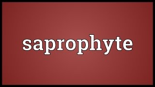 Saprophyte Meaning [upl. by Nwahsir988]