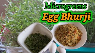 Microgreen Easy amp Healthy Recipes  Egg Bhurji  Microgreen Egg Bhurji  Homemade [upl. by Anselme439]