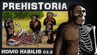 Homo Habilis  Przedsiębiorczy Padlinożerca  Prehistoria  Odc4  Historia na Szybko [upl. by Umeh]