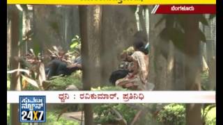 College chacker park nali haajar  04 June 12  Suvarnanews [upl. by Mini]