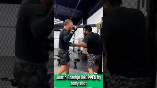 Justin Gaethje dropped by body shot in sparring [upl. by Borlase]