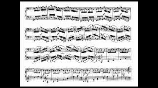 Beethoven piano sonata no 16 op 31 in G major Full [upl. by Liuqa563]