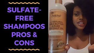 SulfateFree Shampoos Pros amp Cons  Natural Hair Vlogger [upl. by Olnek]