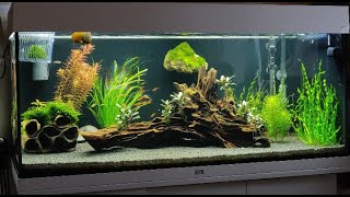 Juwel Rio 180 My Aquarium [upl. by Aititil31]