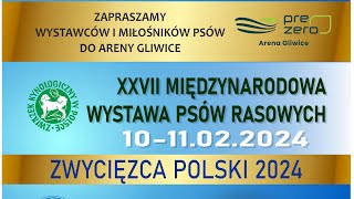 Międzynarodowa Wystawa Psów Katowice 2024 [upl. by Gersham]