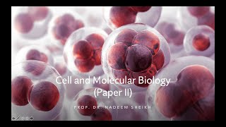 Topic 20 Giant Chromosomes [upl. by Anayi245]