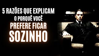 PORQUE VOCÃŠ PREFERE FICAR SOZINHO  5 RAZÃ•ES que Explicam sua Vontade de ESTAR SÃ“ [upl. by Hoxsie]