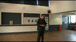 Samuel Kwok Talks about Ip Man Wing Chun [upl. by Airottiv]