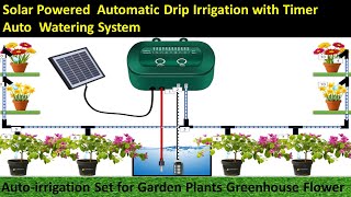 Solar Powered Automatic Drip Irrigation System l Garden Plants Greenhouse Flower CircuitInfo [upl. by Adien]