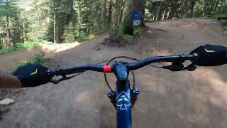 blue line at bike park Bernex in the french alps [upl. by Neelik]