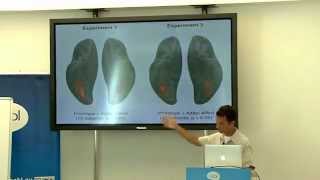 Day 34  fMRI  Functional Magnetic Resonance course  BCBL [upl. by Imuya225]