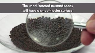 Detecting Argemone Seeds Adulteration in Mustard Seeds [upl. by Vania]