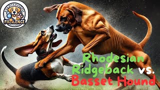 Rhodesian Ridgeback vs Basset Hound Strength Strategy and Stamina in an Epic Showdown [upl. by Mcclish]