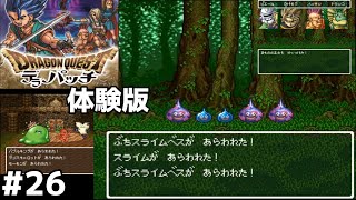 【DQ6デラパッチ体験版】ラスボス前にベストドレッサーコンテストとスライム格闘場を制覇する [upl. by Farmelo70]