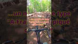 Camber Of Secret  mtb vtt epicbikestore mtbqc [upl. by Loughlin]