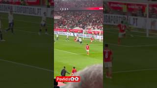 Pavlidis Goooolazooo benfica santaclara keremaktürkoğlu sports shorts [upl. by Duster]