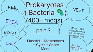 Prokaryotes  Bacteria  400 mcqs Part 3  Plasmid  Mesosomes  Spores  Cysts  Related mcqs [upl. by Ednargel260]