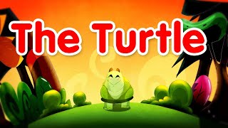 The Turtle  Toyor Baby English [upl. by Frederica788]