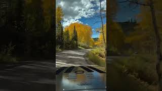 Autumn at Kebler Pass Colorado [upl. by Ettigdirb]