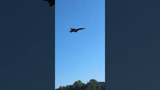 Blue Angels leaving Seattle after the Seafair Air Show america blueangels fa18 [upl. by Scheider986]