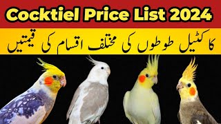 All cockatiel Parrot Latest prices 2024 cockatiels [upl. by Henson]