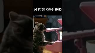 Skibi li tojlet kot 🐈 dajcie suba [upl. by Corbett1]