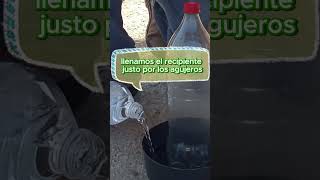 Cómo hacer un bebedero casero para gallinas y pollos con botella de Coca Cola [upl. by Sarah192]