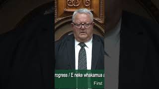 Haka interrupts vote for the Treaty Principles Bill  RNZ [upl. by Greeson]