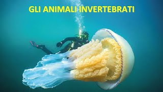 GLI ANIMALI INVERTEBRATI [upl. by Jillene]