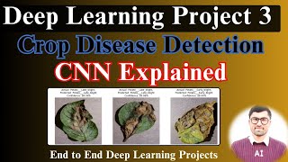 Mastering Crop Disease Classification  CNN Explained  Crop recommendation system Deep learning [upl. by Bradshaw678]