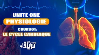 PhysiologieCardiaque  2ème année  CYCLE CARDIAQUE [upl. by Otanod530]