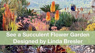 See a Succulent Flower Garden by Designer Linda Bresler [upl. by Rainah413]