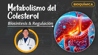 Metabolismo del Colesterol  Biosíntesis y Regulación [upl. by Greenwald]