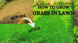 How to grow grass in lawn at home लाॅन में घास कैसे लगाये [upl. by Annirok]