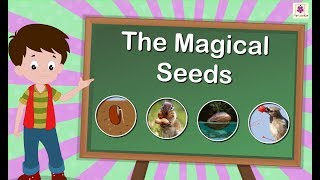 The Magical Seeds  How Seed Becomes Plant  Science For Kids  Grade 5  Periwinkle [upl. by Monica]