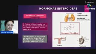 REGULACIÓN DE LOS METABOLISMOS HORMONAS [upl. by Iredale]