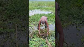 fishtrap fishing villagefishing love beautiful viralvideo ytshorts fishtrapping [upl. by Hawger6]