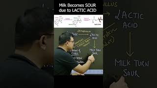 Why Baking soda is added to milk shorts ytshort shortvideo [upl. by Englis]