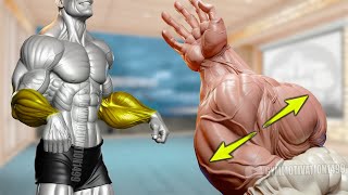 6 Effective Exercises to Get Big Veiny Forearms [upl. by Llenor911]