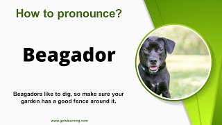 How to pronounce Beagador Correctly in English [upl. by Eilasor938]