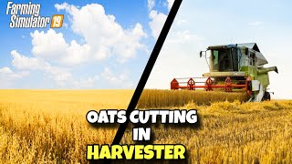 Farming Simulator 19  Oats Cutting Complete Guide  How to Cutting Oats [upl. by Nirroc702]