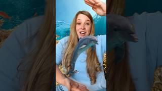 Ocean Animals 🐬 Opposites Song kidssongs kidslearning [upl. by Wendolyn566]