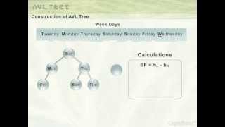 AVL Tree [upl. by Anailil]