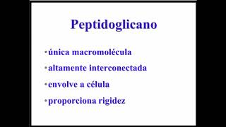 Aprenda Plugado  BACTERIOLOGIA  Aula 04 Slide 7  Peptidoglicano [upl. by Brodsky]