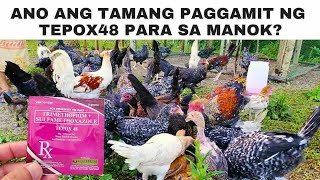 Ano ang gamot sa sakit ng manok na avian malaria coccidiosis colibacillosis at salmonellosis [upl. by Yhtac]