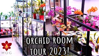 Orchid Room Tour Spring 2023  Its always a work in progress 😆 [upl. by Bernardine]