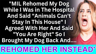 My motherinlaw rehomed my dog while I was in the hospital saying quotNo animals herequot and I agreed [upl. by Amitie]